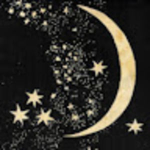 Meet your Posher, Liz kate